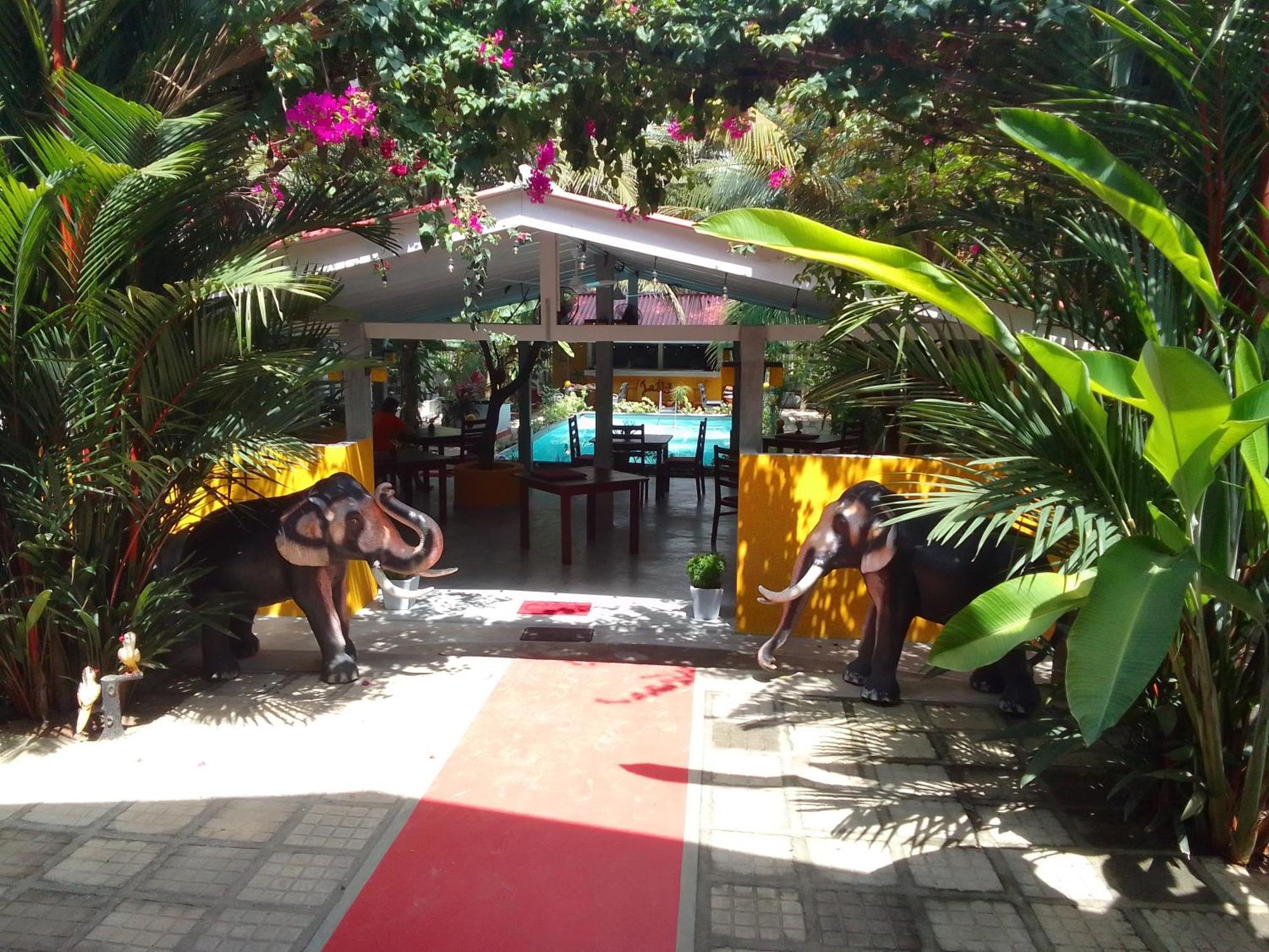La Perla Bentota Hotel Exterior foto